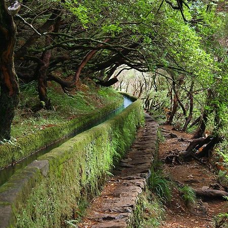 São Vicente Moradia Ponte De Pedra 빌라 외부 사진